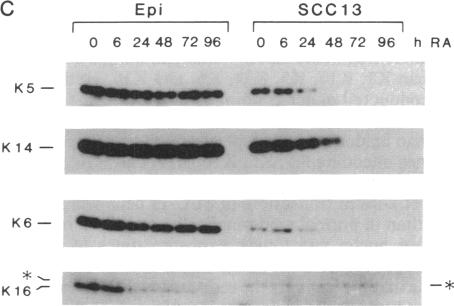 graphic file with name pnas01061-0029-c.jpg