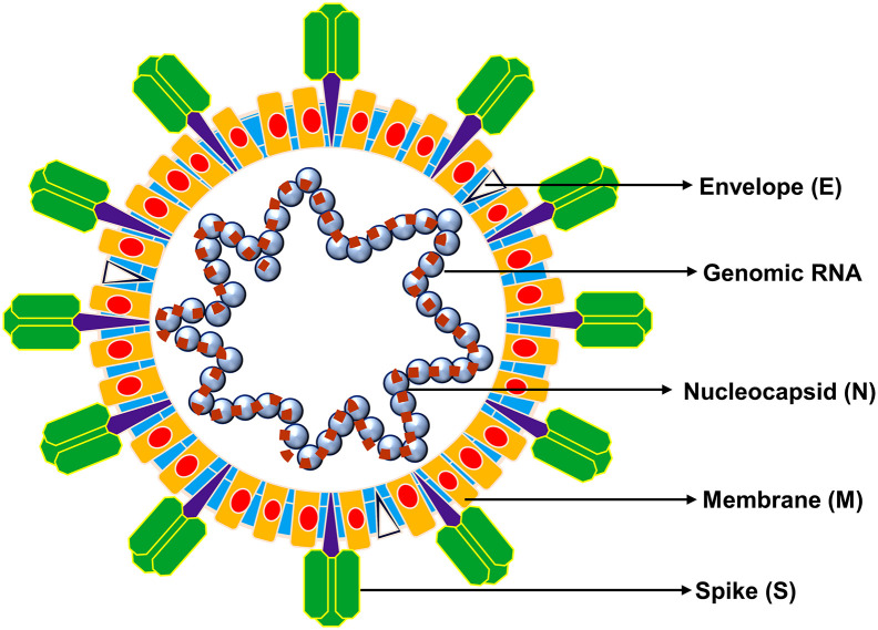 Fig. 3