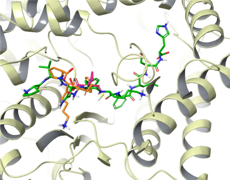 Fig. 10