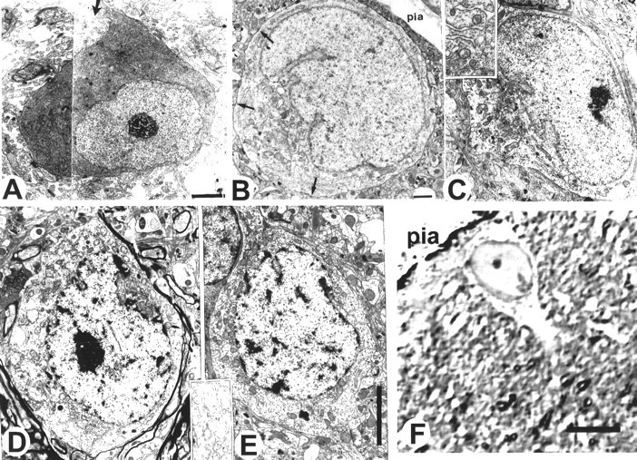 Fig. 9.