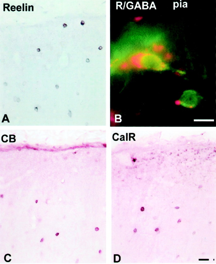 Fig. 10.