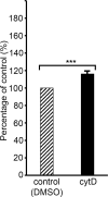 Figure 5—figure supplement 1.