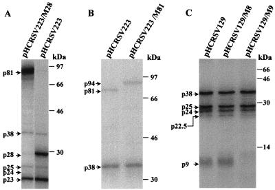 FIG. 4