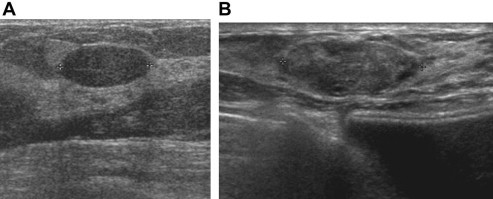 Fig. 6