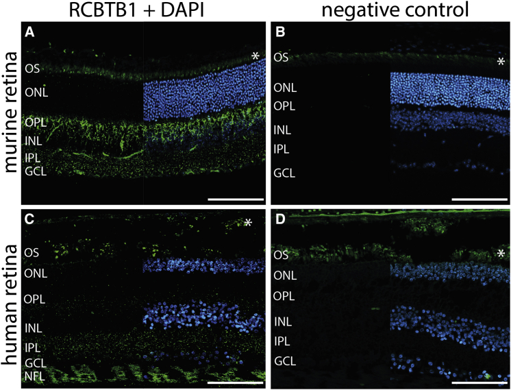 Figure 5