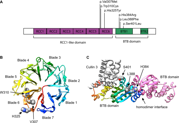 Figure 3