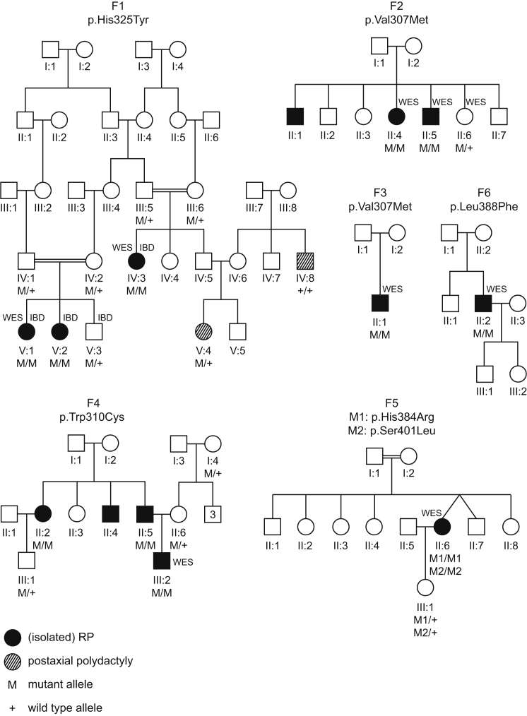 Figure 1