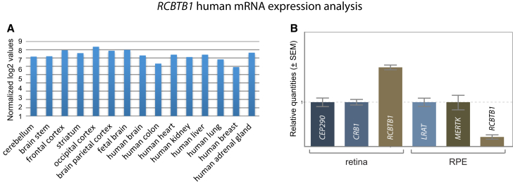 Figure 4