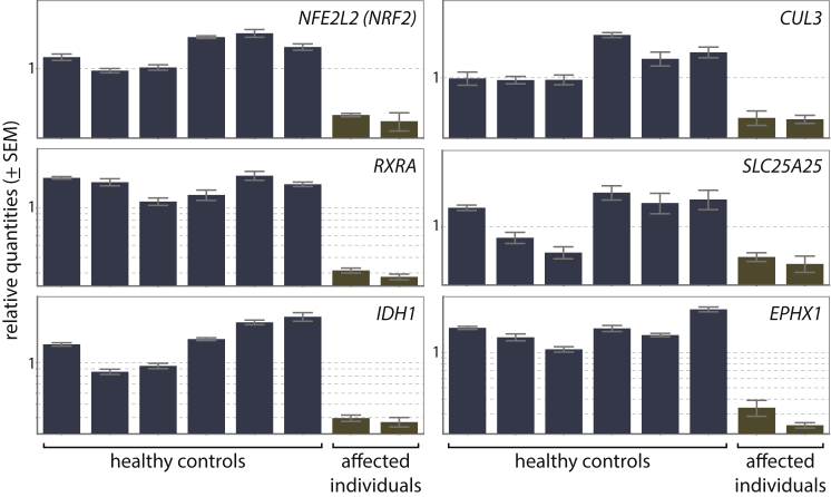 Figure 6