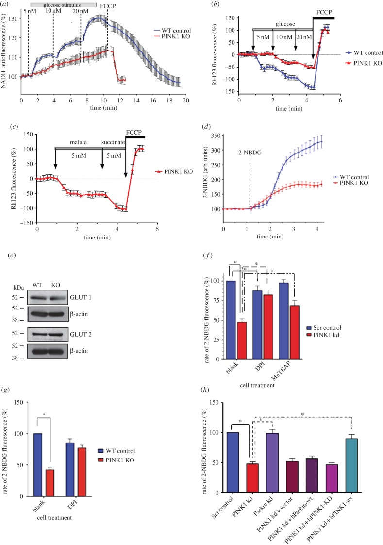 Figure 2.