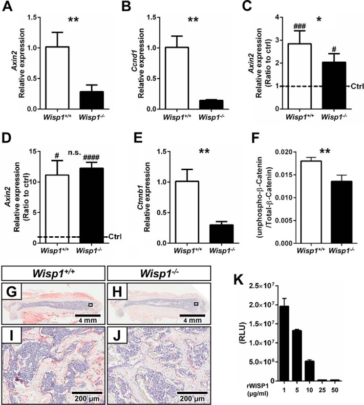 FIGURE 10.