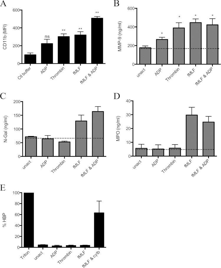 FIG 2