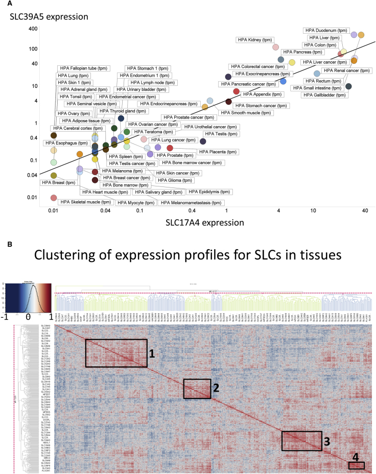 Figure 2