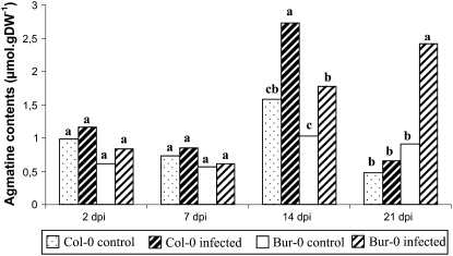 Figure 7.