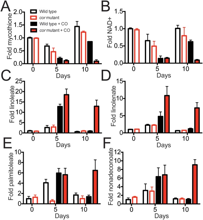 FIG 4 