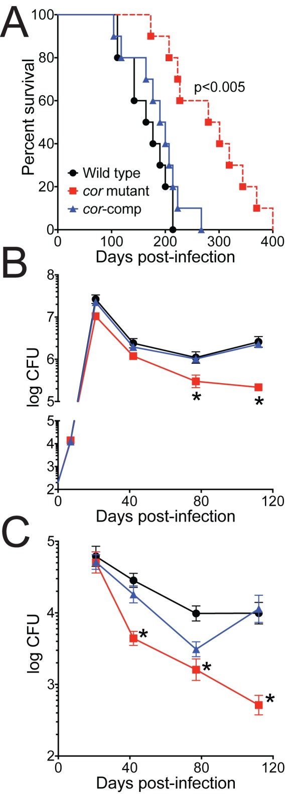 FIG 6 