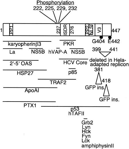 FIG. 8.