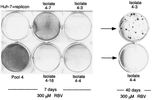 FIG. 5.