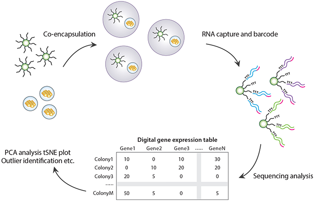 graphic file with name nihms-1026151-f0005.jpg