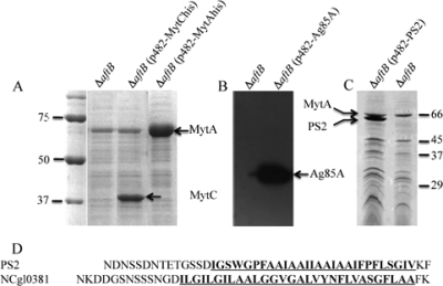 FIG. 6.