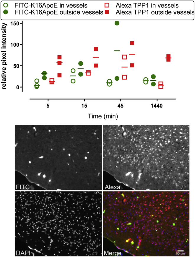 Figure 6