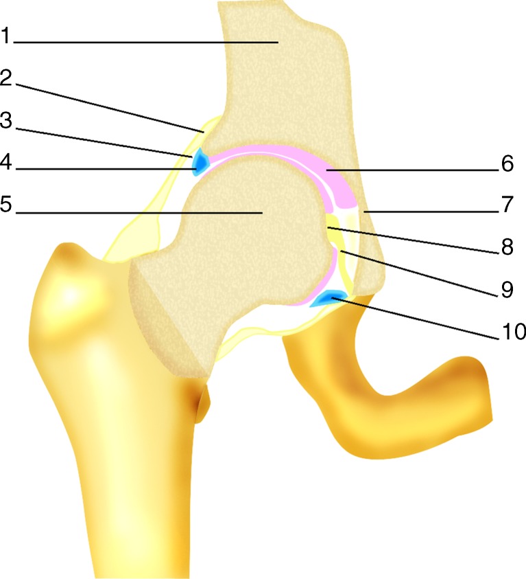 Fig. 2