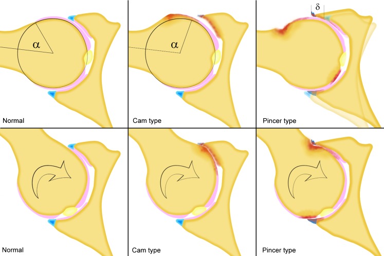 Fig. 10