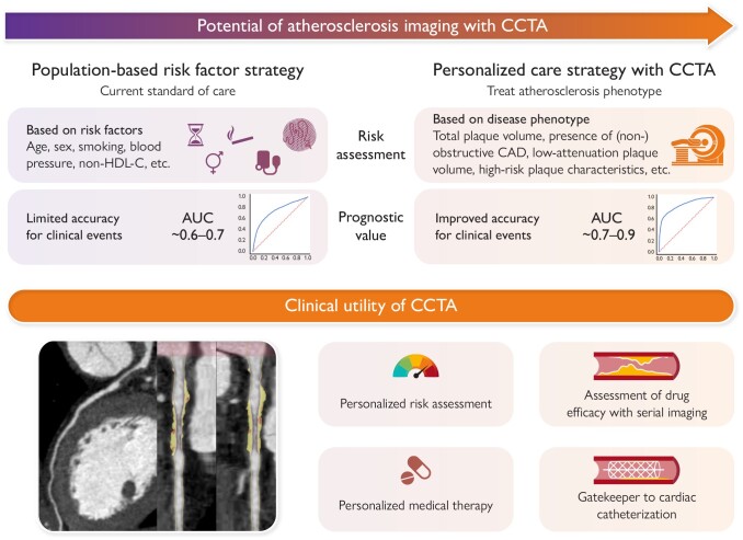 Graphical Abstract