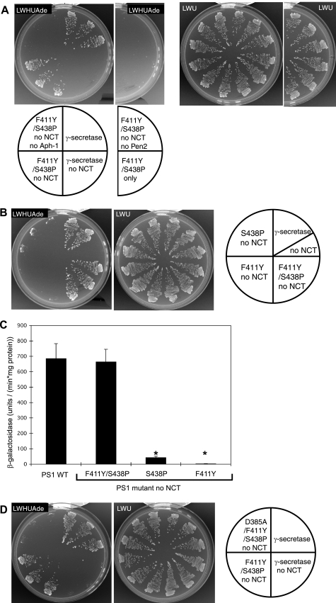 FIGURE 2.