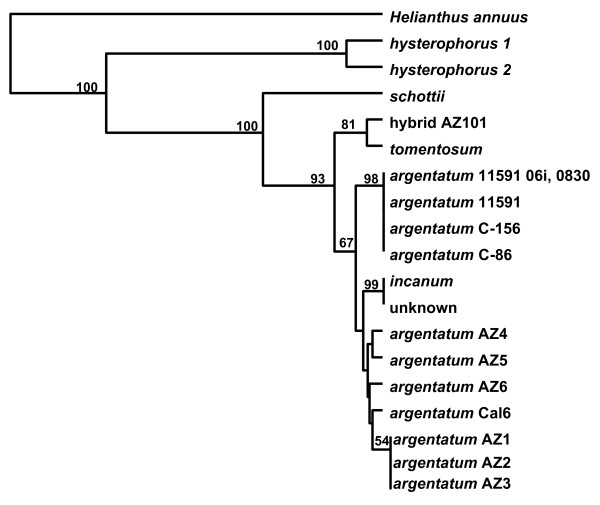 Figure 5