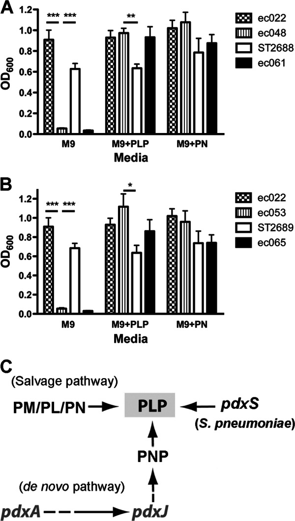 Fig 4