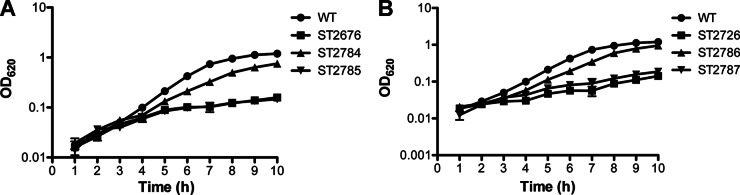 Fig 6