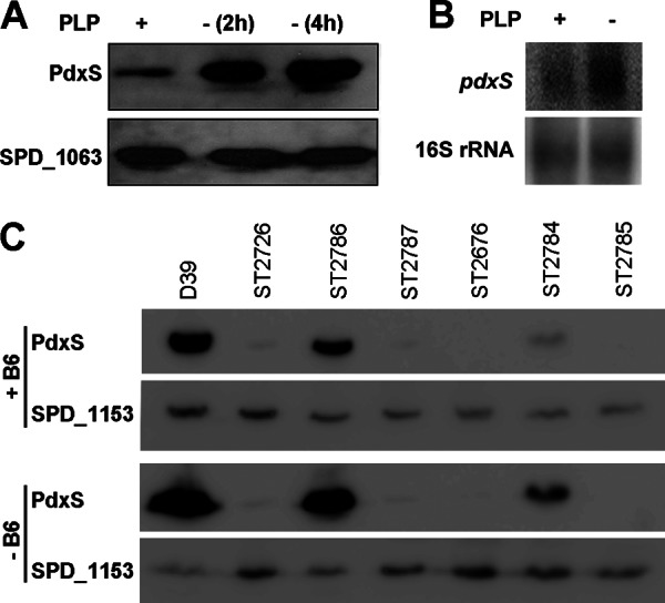 Fig 5