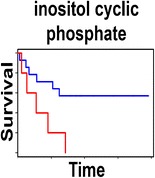 Graphical Abstract