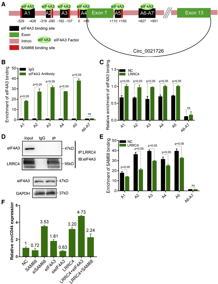 Figure 2