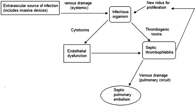 Fig. (2)
