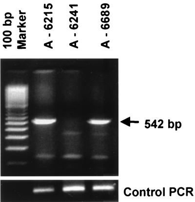 FIG. 1