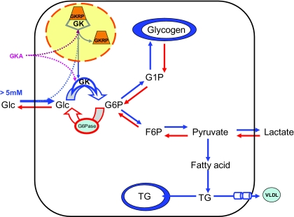 FIG. 1.