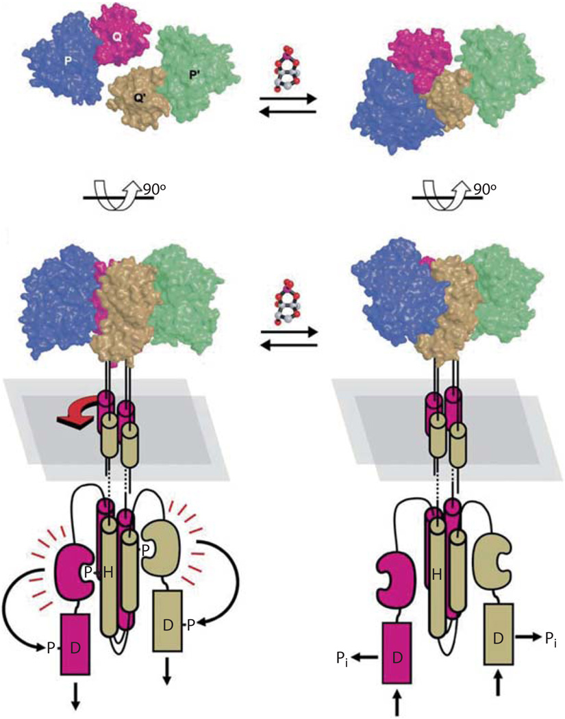 Fig. 4