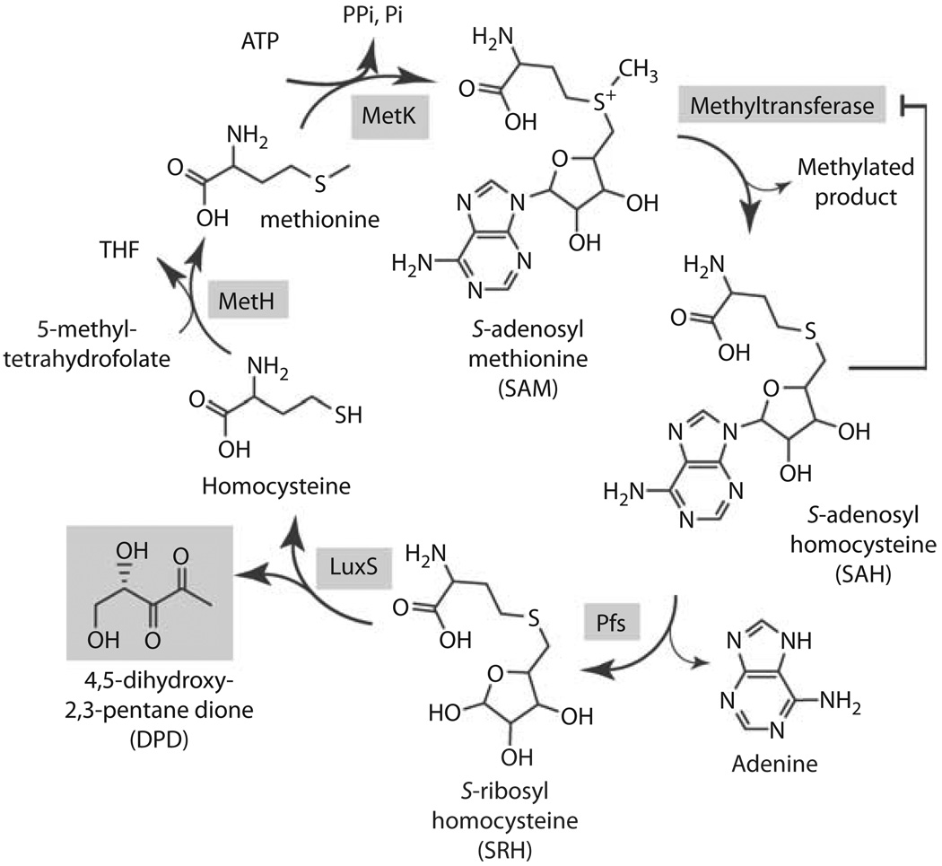 Fig. 2