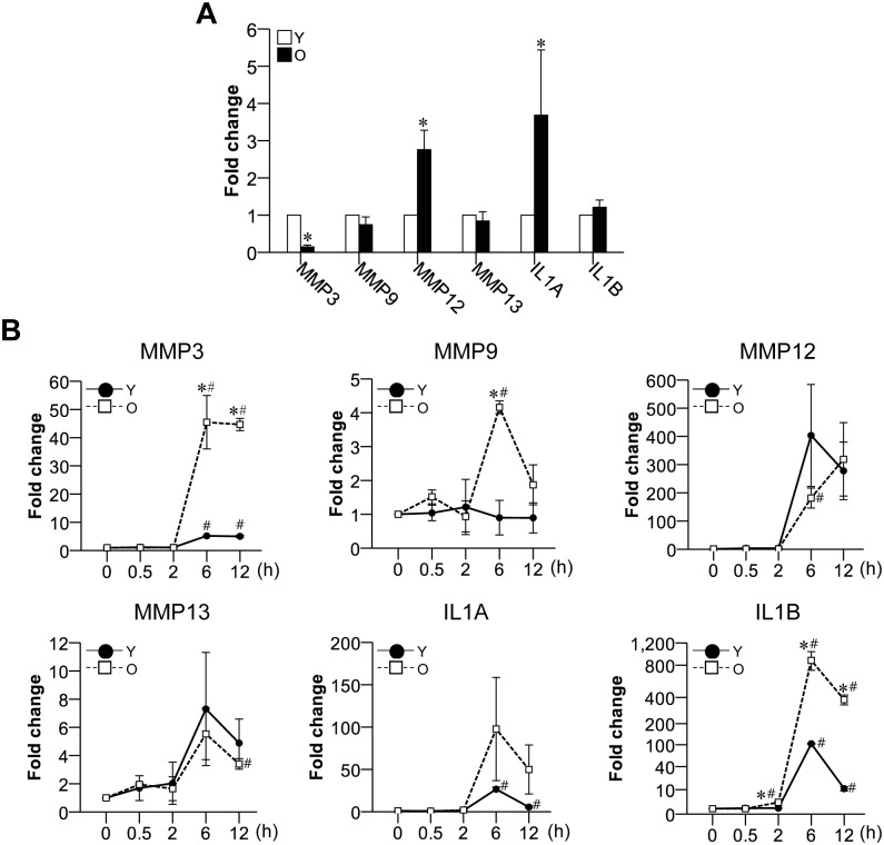 Fig 4