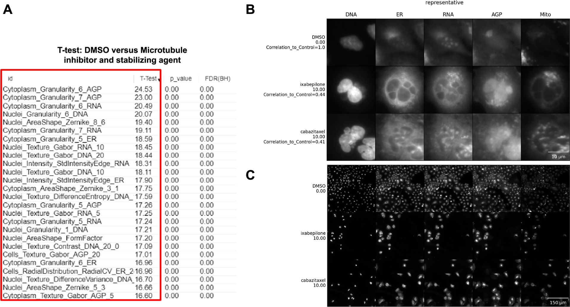 Figure 6 -