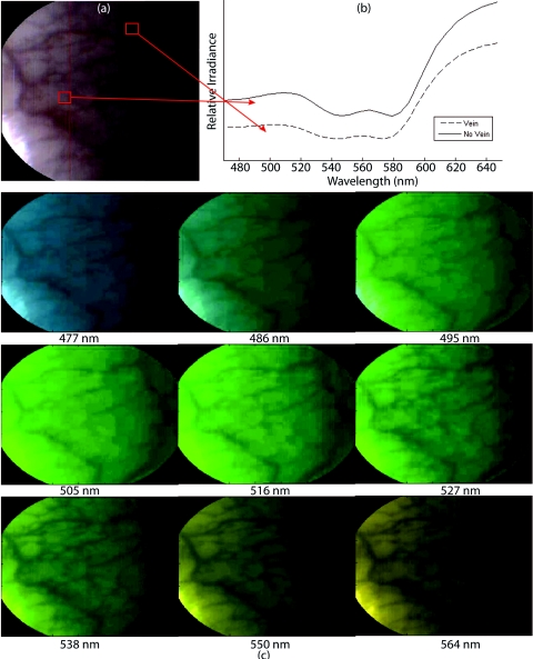 Figure 17