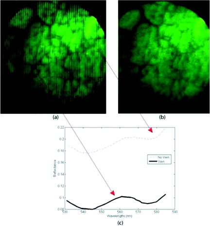 Figure 14