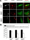 Figure 10.