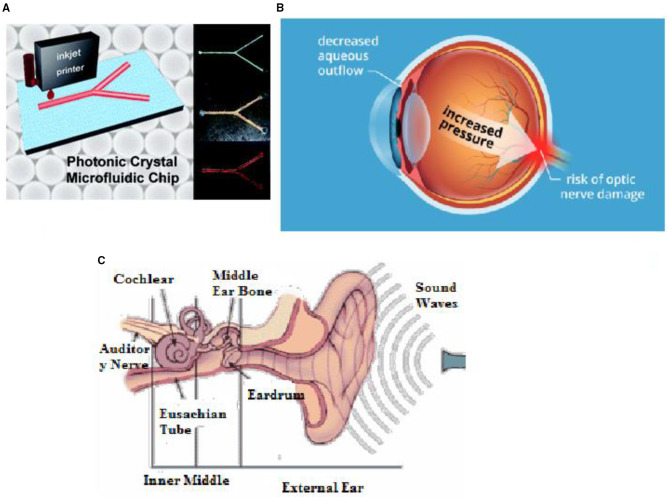 Figure 10