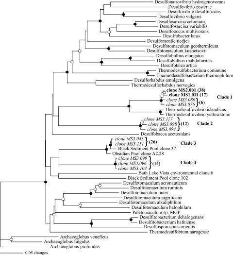 FIG. 5.