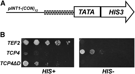 Figure 6.