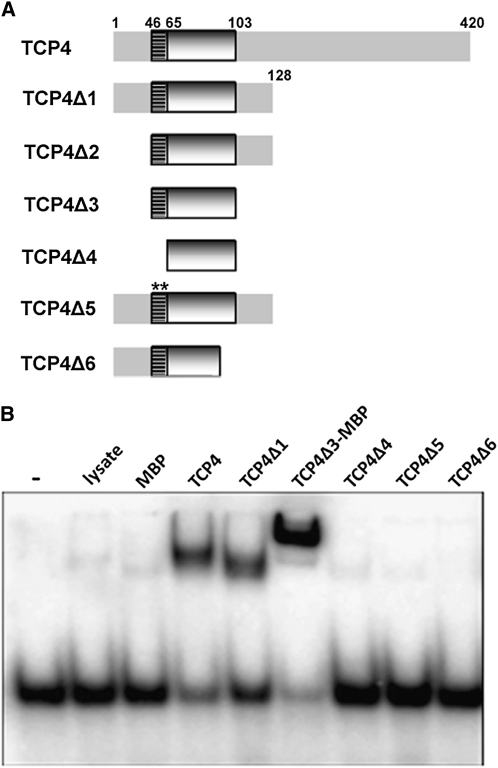 Figure 4.