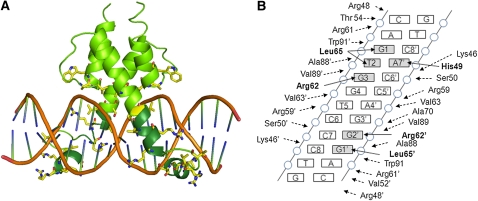 Figure 7.